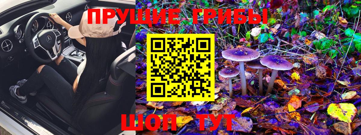 Галлюциногенные грибы Psilocybine cubensis  Вход с VPN  закладка  Нальчик 