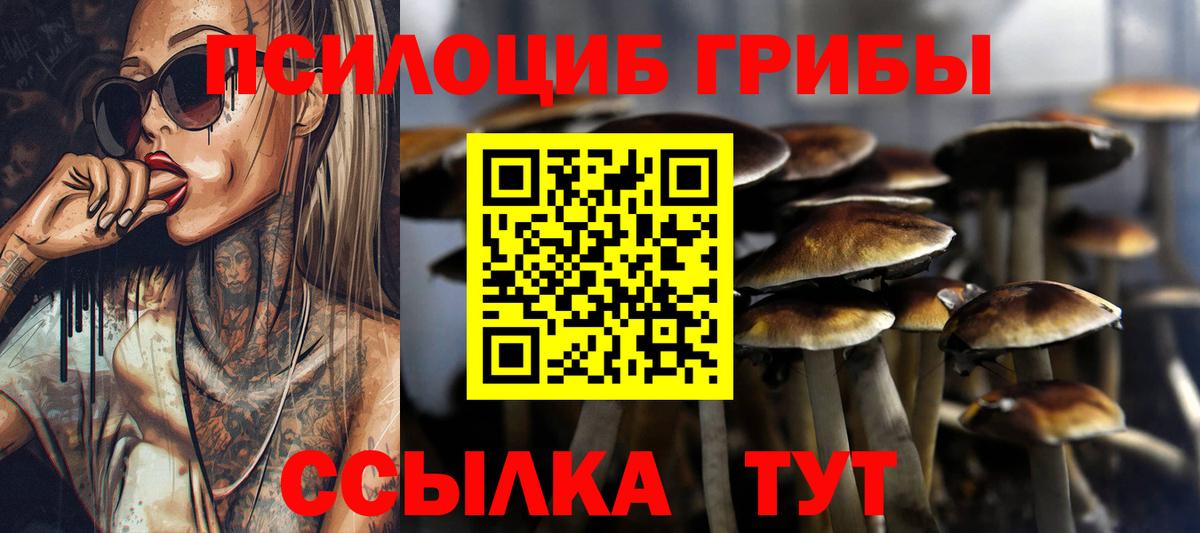 Галлюциногенные грибы Cubensis Нальчик